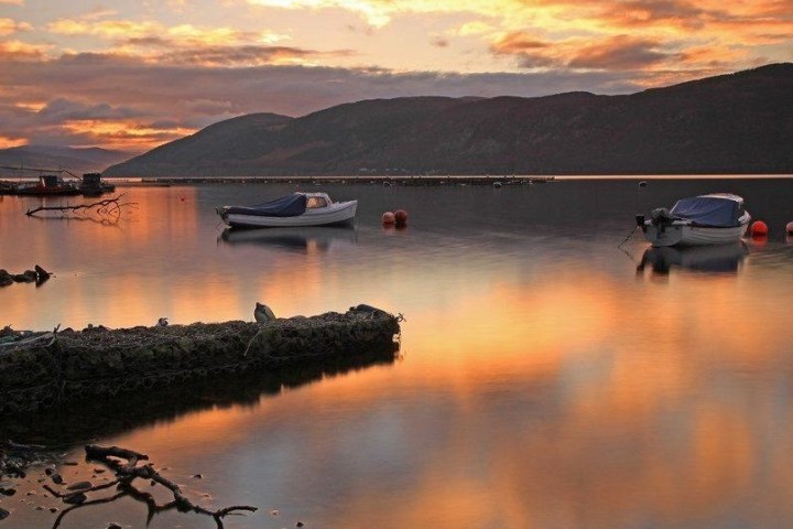 a lake and boats